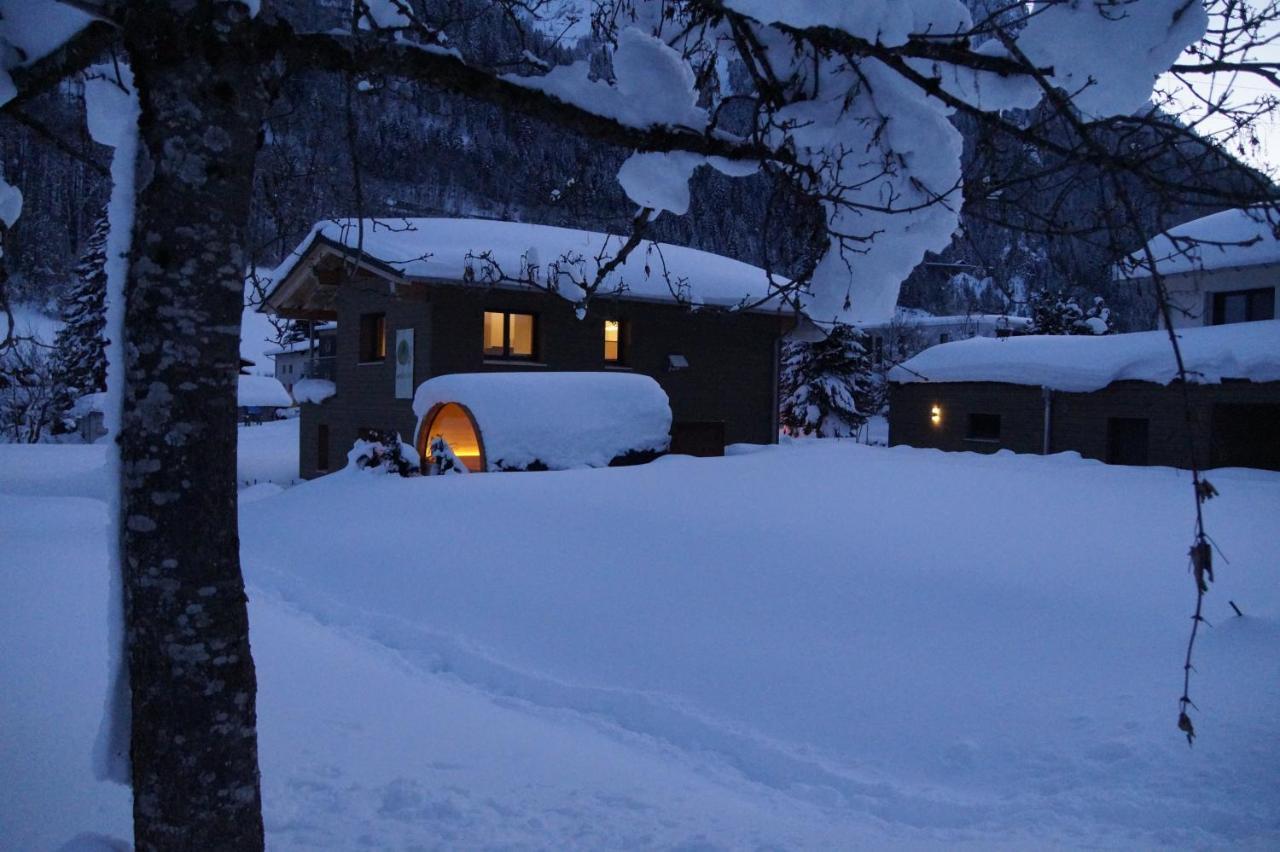 Woodpecker Holiday home